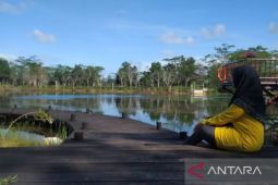Menjaga Kelestarian Lingkungan Dengan Reklamasi yang Berkelanjutan