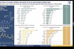 Banyak negara sudah mulai masuk masa endemi COVID-19, kata Kemenkeu