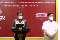 Indonesia can enter endemic phase if health awareness rises: minister