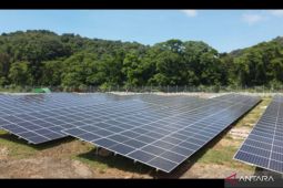 Mendorong peran industri dalam transisi energi di Indonesia