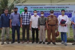 Retribusi tenaga asing di Paser capai Rp 400 juta pertahun