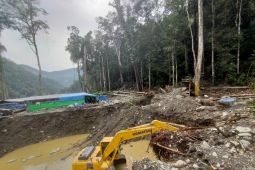 Diduga tambang ilegal berpotensi merusak hutan di Manokwari pemerintah diam