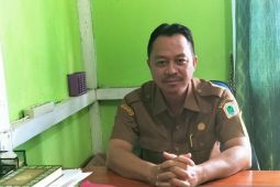Kapuas Hulu kembangkan pekarangan lestari untuk mengatasi stunting