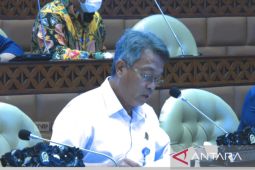 Kemenhub: PPLN dapat masuk RI melalui 10 bandara internasional