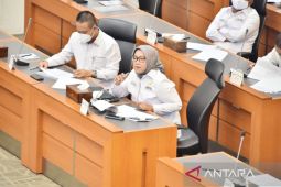 Bupati Bogor curhat kepada DPR soal beban daerah biayai gaji PPPK