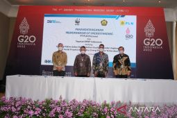 Kembangkan Energi Bersih Berkelanjutan, PLN Gandeng WWF