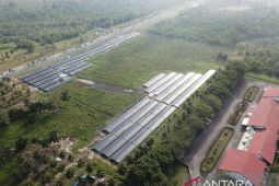 Pertamina operasikan PLTS berkapasitas dua megawatt di Kilang Dumai