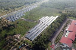 Pertamina operasikan PLTS berkapasitas 2 MW di Kilang Dumai