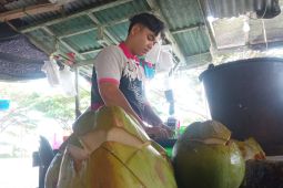 Daya beli kelapa muda meningkat di Lhokseumawe