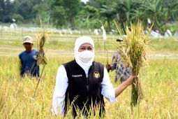 Pemprov Jatim  berkomitmen wujudkan swasembada pangan
