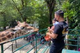 KBS diminta kaji ulang rencana pembukaan "Surabaya Night Zoo"