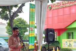 Mentan harap impor pangan tak dilakukan saat panen raya