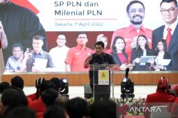 Menteri BUMN dukung PLN jalankan Transisi Energi Bersih RI