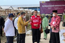 Edi Purwanto dampingi Jokowi kunker di Jambi