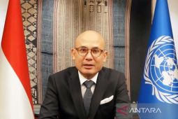 Indonesia backs UN resolution on religious symbols violation