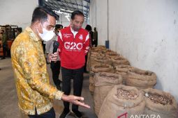 Presiden Jokowi ingin tingkatkan ekspor biji pinang, PLN siap dukung dengan listrik andal