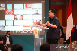 Listrik Jadi Motor Penggerak Ekonomi, Menteri BUMN Dorong PLN Optimalkan Potensi Dalam Negeri