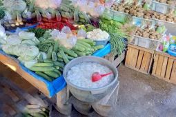 Stok pangan Ramadhan di Batanghari aman