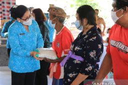 Ketua PKK Bali minta kader untuk aktif cegah ketengkesan