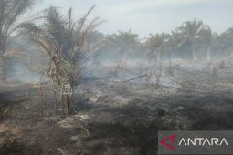 Polisi dalami kasus pembakaran lahan dekat RSUD Mukomuko
