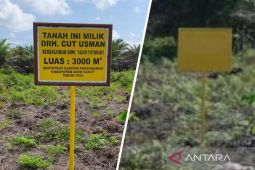 Aksi  perusakan kebun resahkan pemilik lahan di Aceh Barat