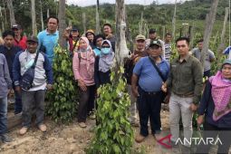 Disbun Kaltim komitmen tingkatkan kualitas pendamping perkebunan