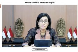 Sri Mulyani sebut APBN jadi peredam guncangan hadapi gejolak global