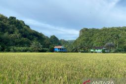Kampung Massaloeng pelita baru pendukung objek wisata Rammang-rammang