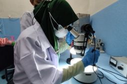 Kenali prosedur karantina, Mahasiswa Polbangtan Kementan PKL di BPKP Belawan