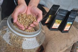 Kopi bubuk merek Kawah Dempo asal Sumsel tembus pasar Australia