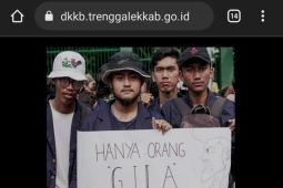 Puluhan website resmi Pemkab Trenggalek diretas