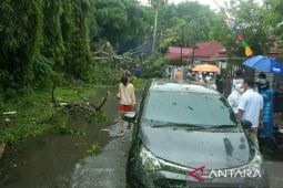 Sembilan daerah di Kaltim diprakirakan hujan lebat disertai angin kencang