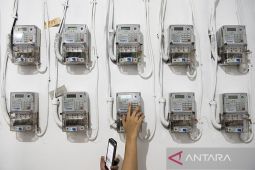 Kebijakan penyesuaian TDL tak ganggu stabilitas ekonomi