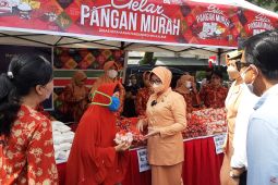 Dinas Ketahanan Pangan Kalbar pastikan stok pangan aman sampai Lebaran