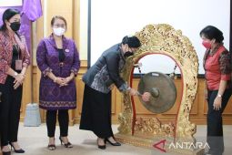 Pembina KPP Bali minta perempuan tak jadi "vas bunga" di DPRD