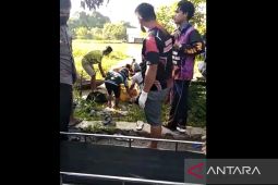 Tiga hari pencarian mayat Upik ditemukan di Kabupaten HSU