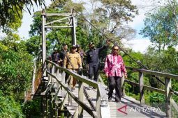 Kapuas Hulu bangun jalan lintas Kapuas Desa Keliling Semulung