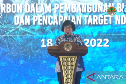 Menteri LHK sampaikan karbon biru masih banyak harus dieksplor dari pesisir dan laut