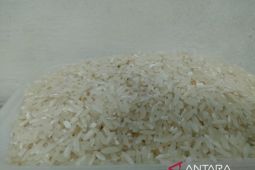 Impor beras RI didominasi "broken rice"