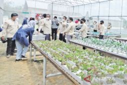Bangka Barat tingkatkan keterampilan para petani milenial