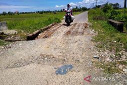 Warga keluhkan jembatan antargampong rusak