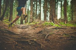 Sumut kembangkan sport tourism melalui Bukit Lawang Jungle Trail Run 2022