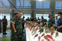 Program Mutiara Pattimura bangkitkan ekonomi nelayan di Maluku Tenggara, didukung bapak angkat