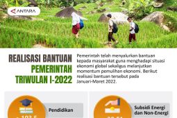 Realisasi bantuan pemerintah triwulan I-2022