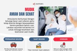 Mudik aman dan sehat
