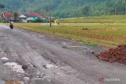 Rekomendasi jalur alternatif layak dilalui pemudik dari Cianjur ke berbagai kota