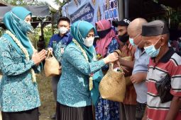 Warga Hulu Sungai Tengah padati pasar murah gelaran PKK Kalsel