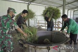 Mahasiswa Unpatti Ambon diajari pengolahan minyak atsiri di Pulau Seram, realisasi program Mutiara Pattimura