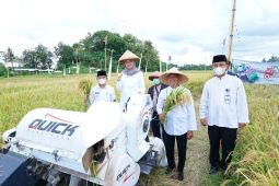Banyuwangi luncurkan "Playu Anter" untuk integrasikan layanan pertanian