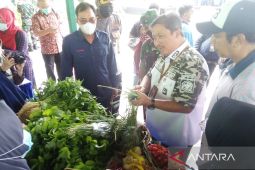 Mentan:Pastikan pangan aman mulai H-10 Lebaran